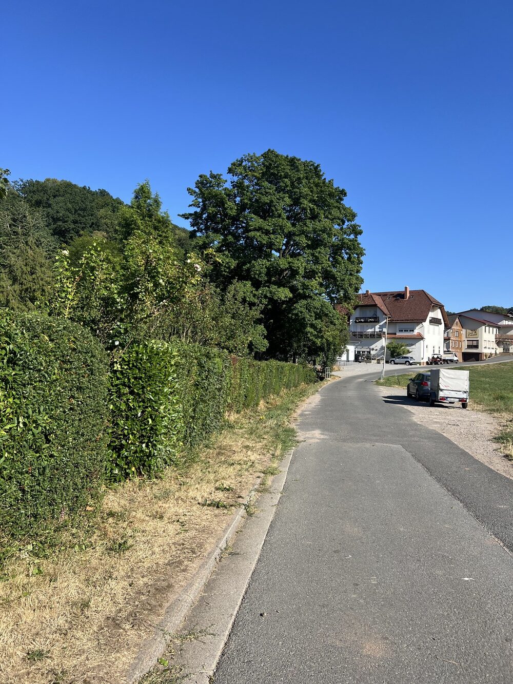 Geschnittene Hecke am Gehweg nach der Arbeit